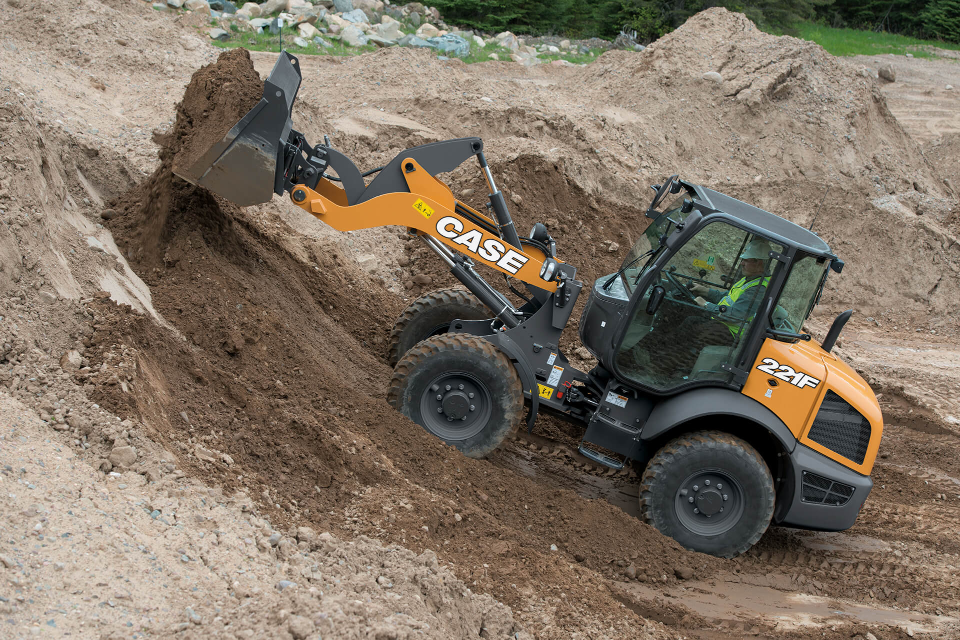 case ce 221F